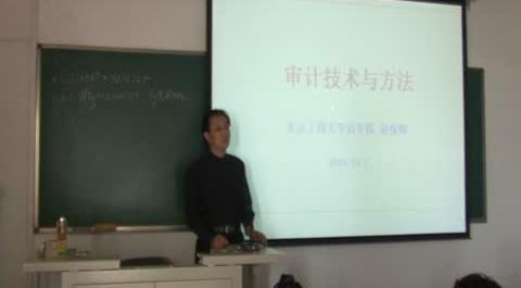 審計技術(shù)語方法第一講