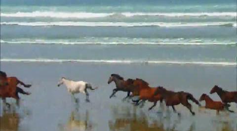 机构发布系列课程