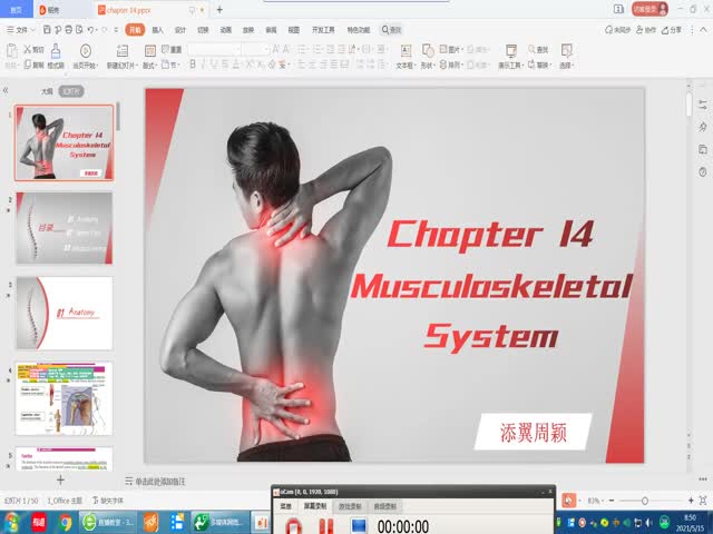 2020-2021年詞匯課第十四章&nbsp;骨骼肌系統(tǒng)