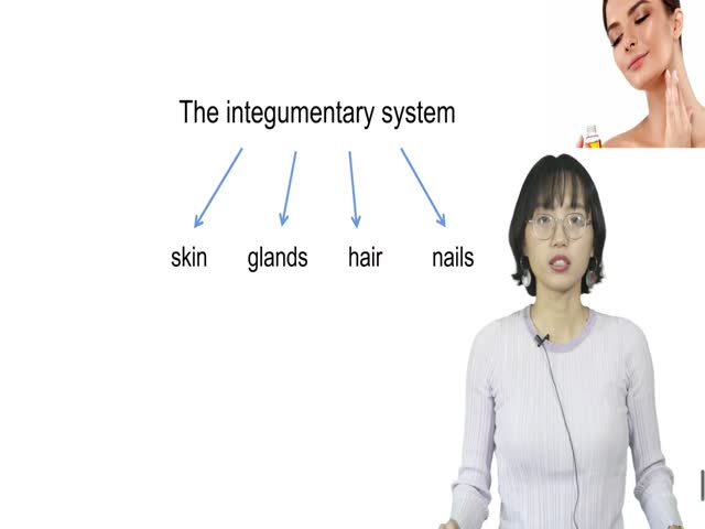 21年度醫(yī)學(xué)詞匯第五章