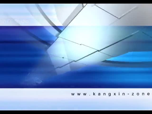 9、國際局的職能、國際公布、文檔的查閱