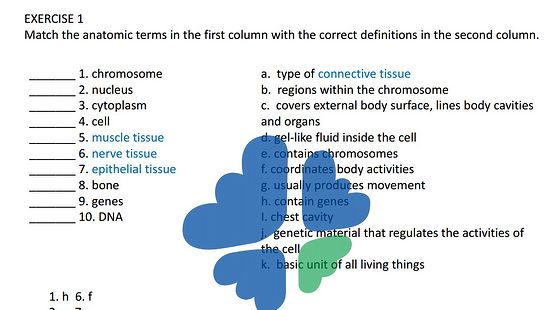 添翼ISPN/RN醫(yī)學詞匯復習課&nbsp;第二、三章-----鄭老師