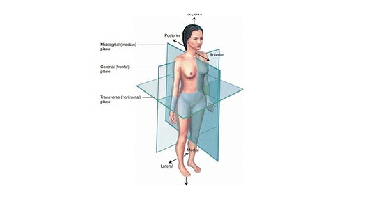 添翼ISPN/RN&nbsp;詞匯課&nbsp;第三章&nbsp;&nbsp;directions&nbsp;planes&nbsp;and&nbsp;positions