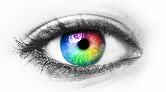 添翼ISPN/RN&nbsp;2017暑假班詞匯課&nbsp;第十二章&nbsp;眼&nbsp;&nbsp;Eye