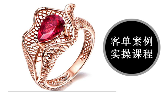 犀牛及MATRIX技能提升課建模（花網(wǎng)戒指）001