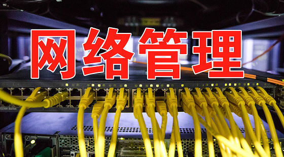 網(wǎng)絡(luò)管理實用教程（L216）