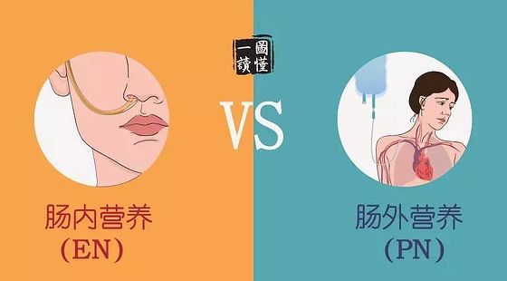 添翼2018-2019ISPN/RN專業(yè)課第12章&nbsp;腸外營(yíng)養(yǎng)