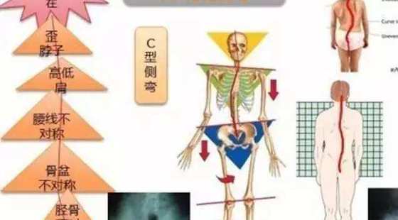 添翼2018-2019ISPN/RN&nbsp;專業(yè)課第15章成年人身體評估