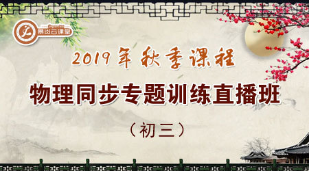 【2019年秋季】初三物理同步专题训练直播班