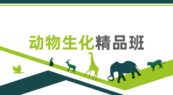 2020年動物生化精品班